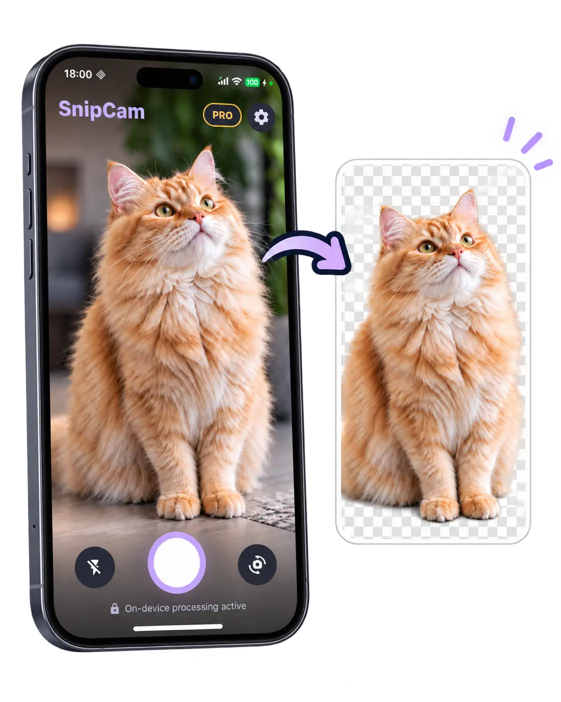SnipCamでオレンジ色の猫を撮影し、背景を削除した切り抜き例